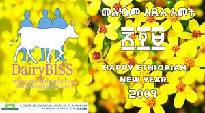 20160908-newyear-wish