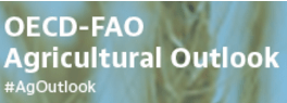 OECD FAO agri outlook