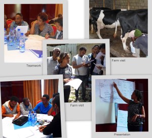 Training Dairy Economics